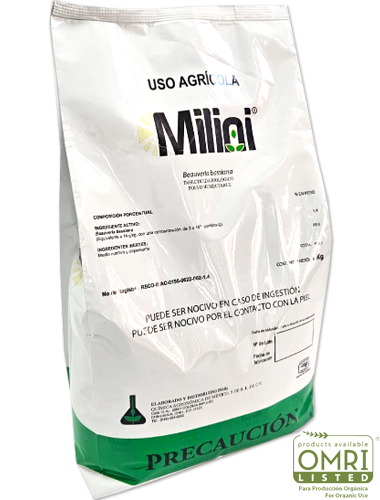 MILINI