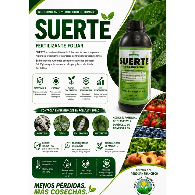 SUERTE